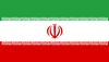 Iran Polyester 3x5