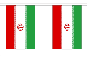 Iran String Flag Bunting