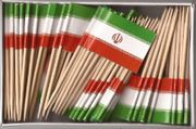 Iranian Toothpick Flags
