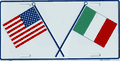 Italy and US Flag License Plate