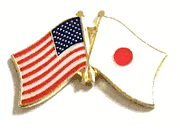 Japan Flag Lapel Pin - Double