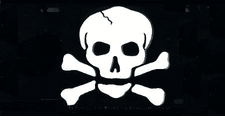 Jolly Roger License Plate