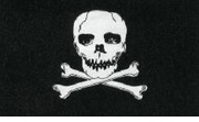 Jolly Roger Pirate Flag Nylon 2'x3' 
