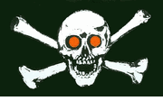 Jolly Roger Red Eye Pirate Flag