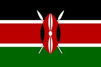 Kenya Polyester 3x5