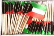 Kuwait Flag Toothpicks