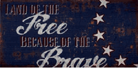 Land of the Free Canvas