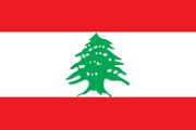 Lebanon Polyester 3x5
