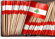 Lebanon Flag Toothpicks