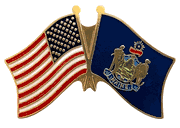 Maine Flag Lapel Pin - Double
