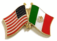 Mexico Flag Lapel Pin - Double
