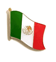 Mexico Flag Lapel Pin - Single