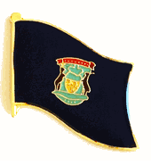 Michigan Flag Lapel Pin - Single