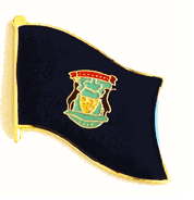 Michigan Flag Lapel Pin - Single