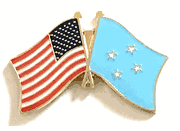 Micronesia Flag lapel Pin - Double