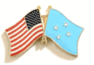 Micronesia Flag lapel Pin - Double