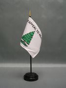 Miniature Washington Cruisers Desk Flag