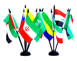 Miniature World Flag Assortment #20/OPEC Countries