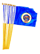 Minnesota 12" x 18" Miniature Stick Flags