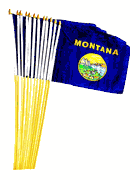 Montana 12" x 18" Miniature Stick Flags
