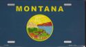 Montana Flag License Plate