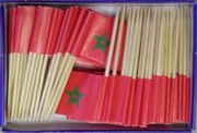 Morocco Flag Toothpicks