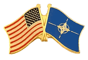 NATO Lapel Pin - Double