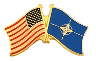 NATO Lapel Pin - Double