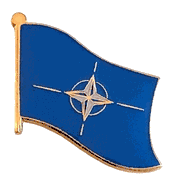 NATO Lapel Pin - Single