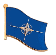 NATO Lapel Pin - Single