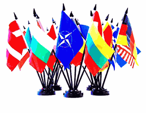 Miniature World Flag Assortment #22/NATO