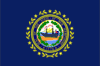 New Hampshire State Flag