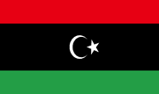 Libya Polyester 3x5