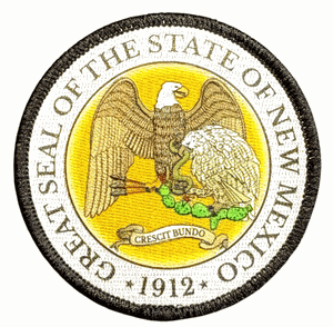 Click to enlarge