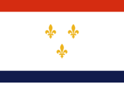 New Orleans Polyester Flag