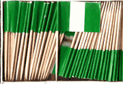 Nigeria Flag Toothpicks