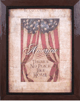 No Place Like America - Framed