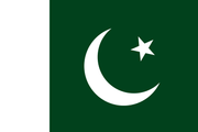 Pakistan Polyester 3x5