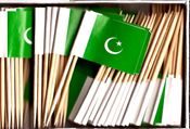Pakistan Flag Toothpicks