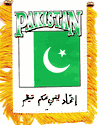 Pakistan Mini Window Banner
