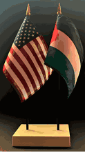 Palestine and US Flag Desk Set
