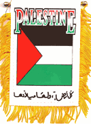 Palestine Mini Window Banner
