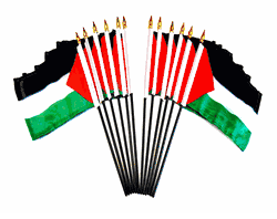 Palestine 4"x6" Polyester - 12 Per Pack