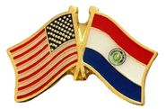 Paraguay Flag Lapel Pin - Double
