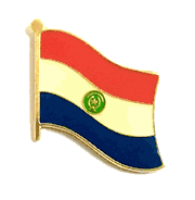 Paraguay Flag Lapel Pin  - Single 