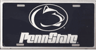 Pennsylvania State University
