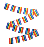 Rainbow Flag Streamers - 30'
