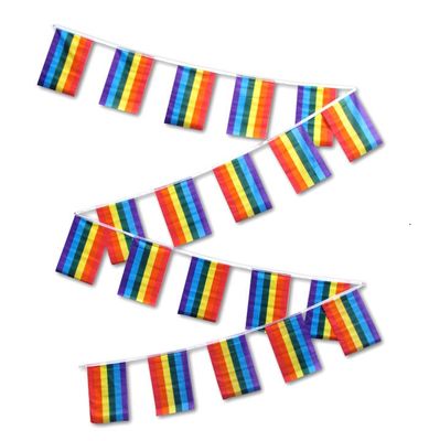 Rainbow Flag Streamers - 30'