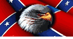 Rebel Flag With American Eagle