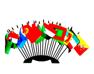 Miniature World Flag Assortment #11/20 Flags Representing South Central Asia